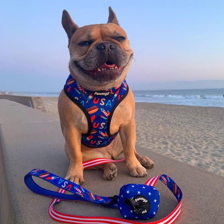 abbythefrenchiegirl