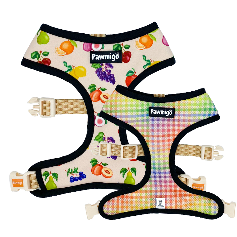 Pawmigo Frootie Patootie Reversible Dog Harness