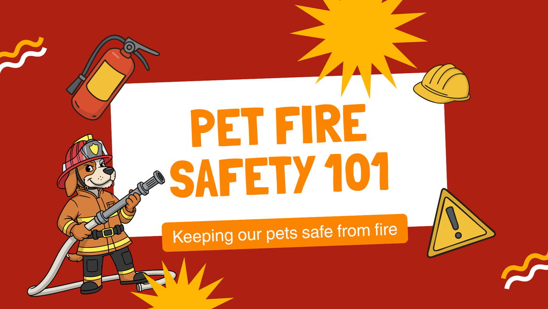 National Pet Fire Safety Day: The Grab-and-Go Checklist Every Dog Parent Needs