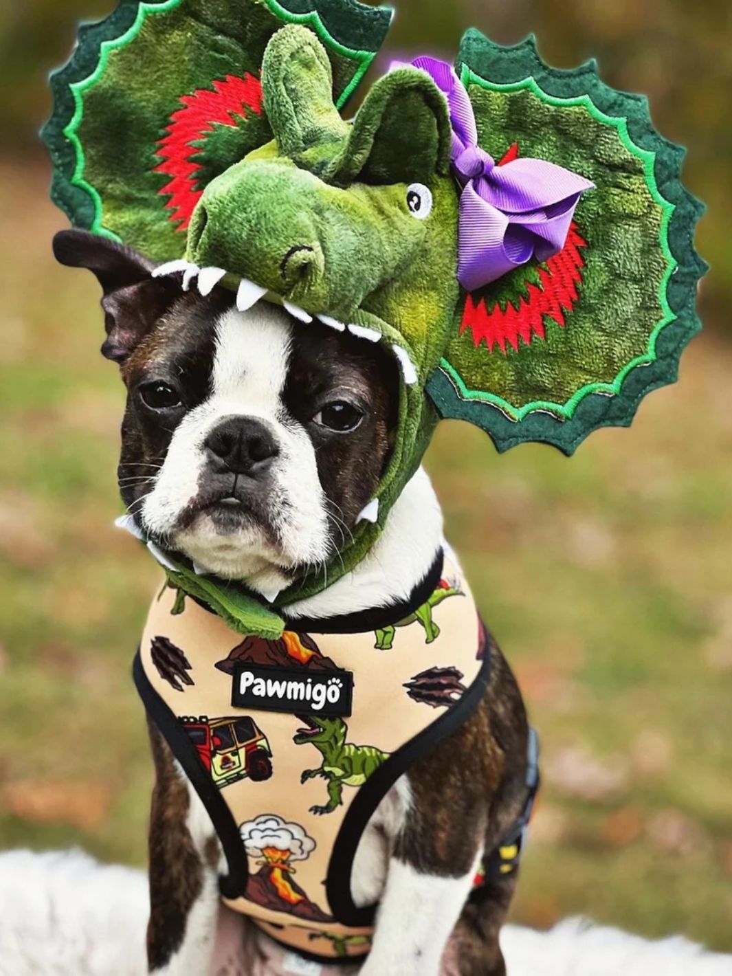 Jurassic Bark