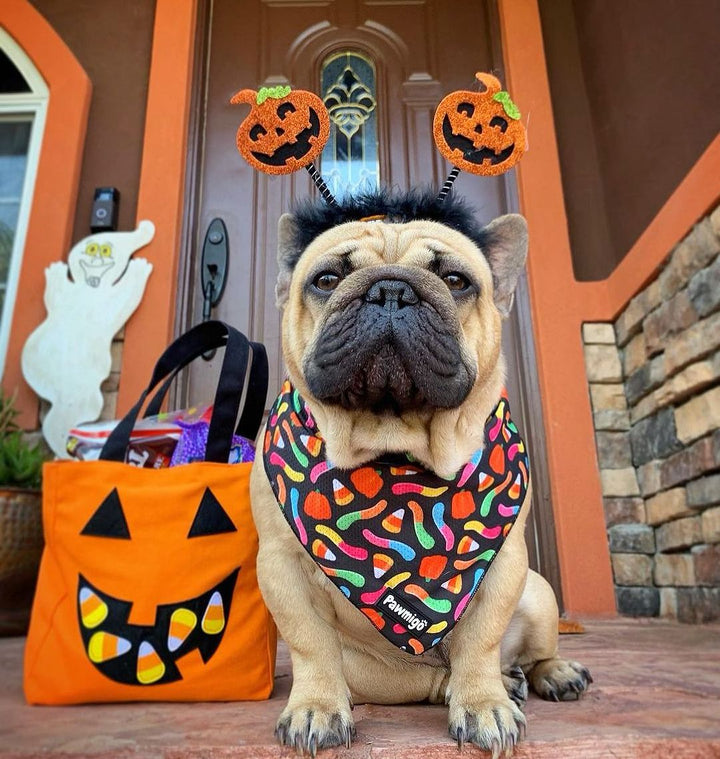 Trick N Treat Cooling Bandana