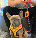 Taco Tuesday Reversible Harness