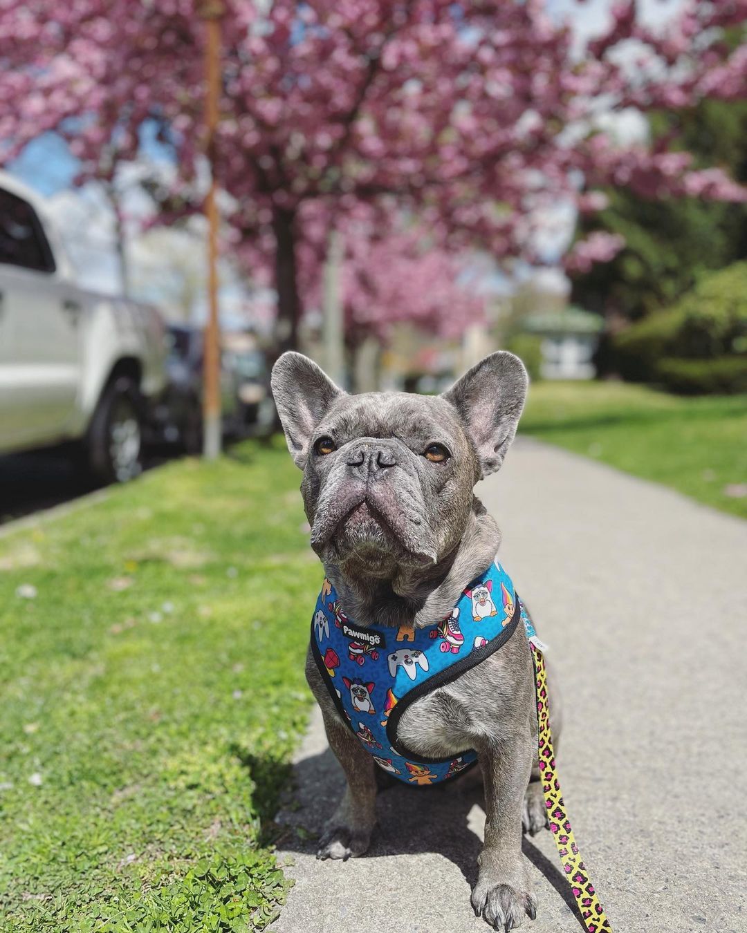 90s Baby Reversible Harness