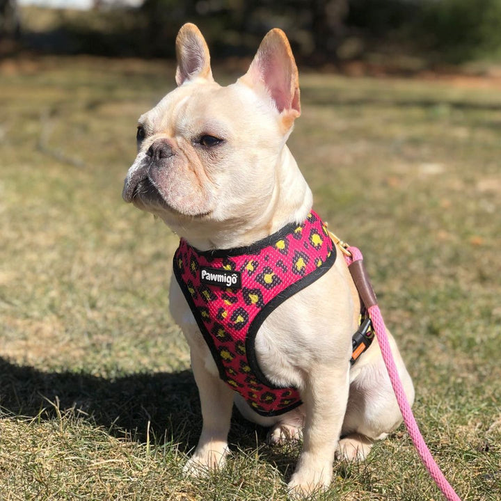 90s Baby Reversible Harness