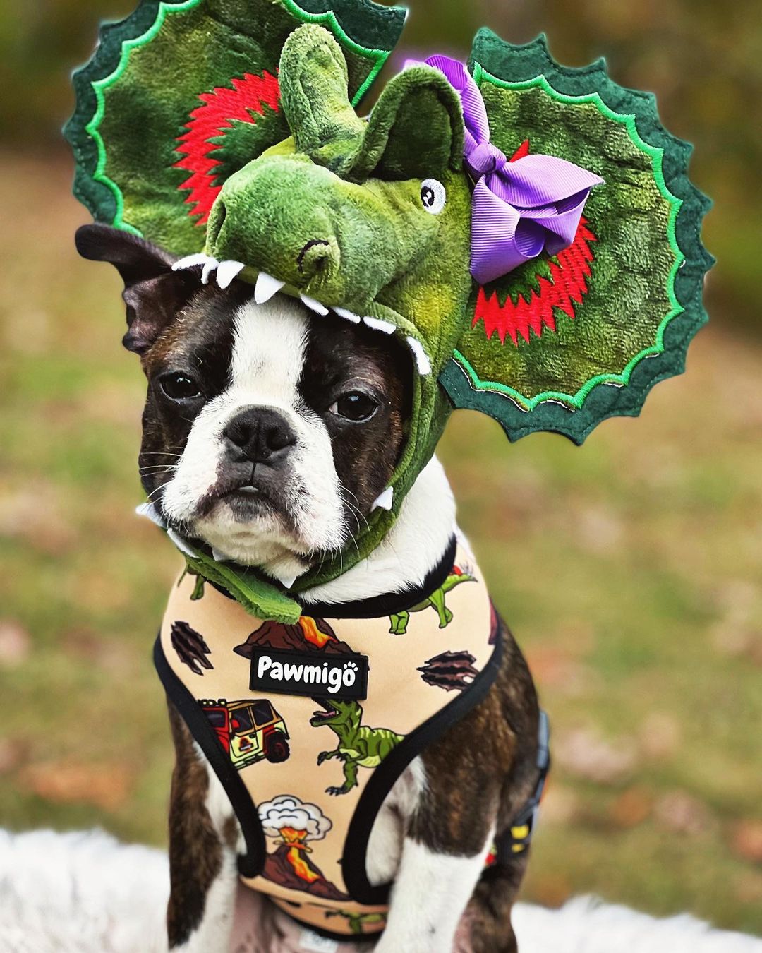 Jurassic Bark Reversible Harness