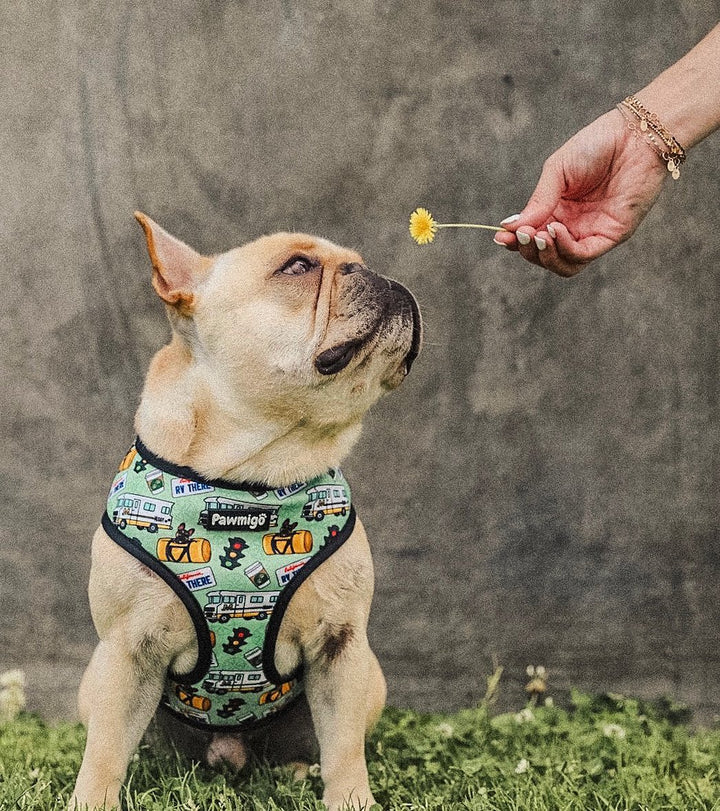 Muddy Paws Reversible Harness