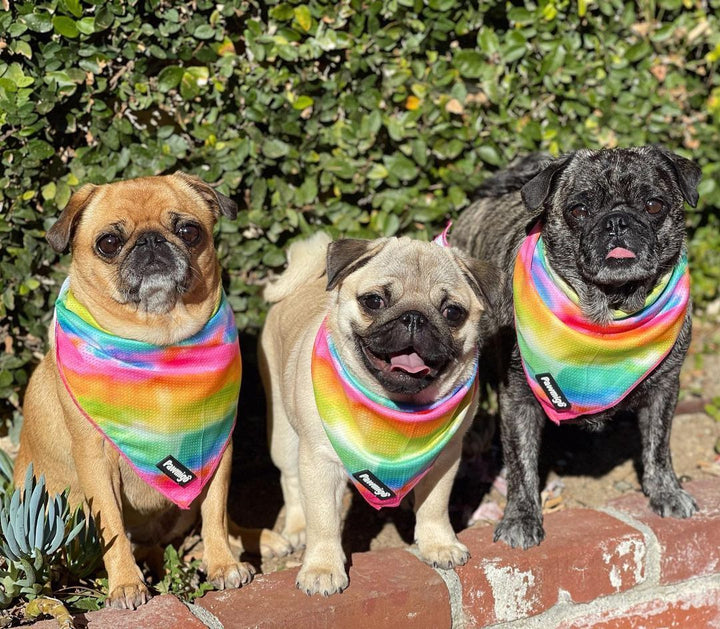 Tie-Dye For Cooling Bandana