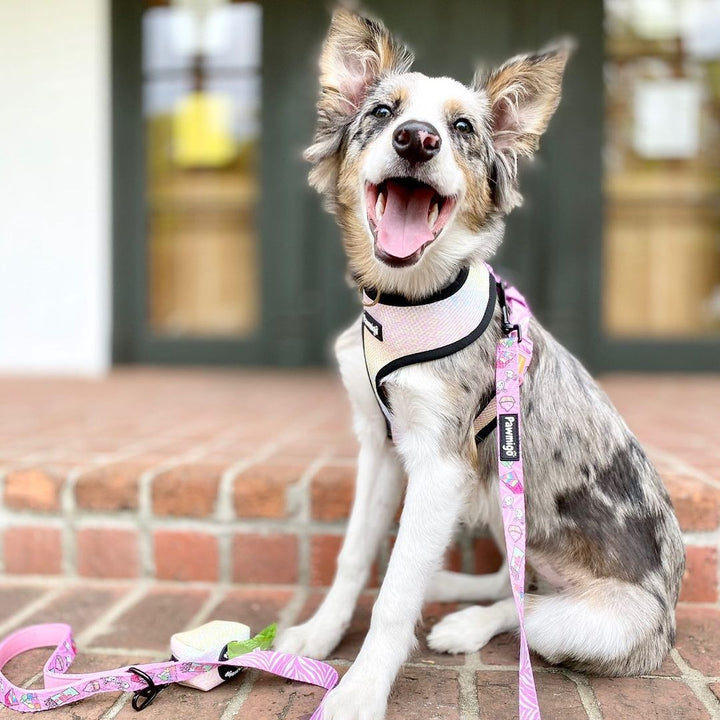 Slumber Pawty Leash Kit