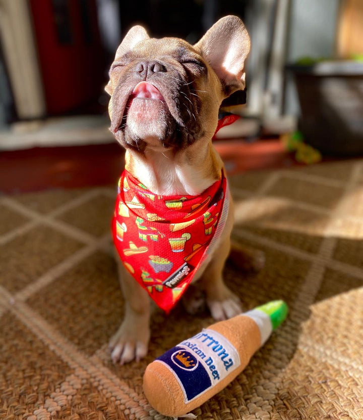 Taco Tuesday Cooling Bandana