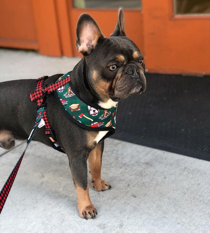 Lumbersnack Leash Kit