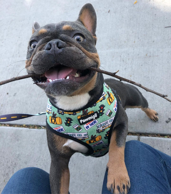 Muddy Paws Leash Kit