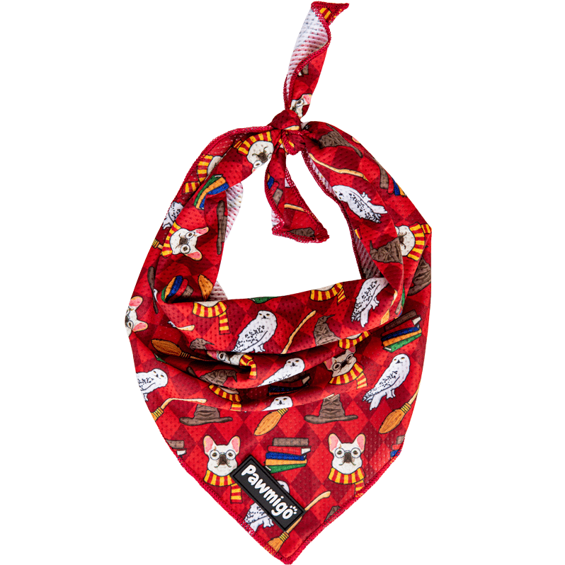 Pawmigo red burgundy Harry Potter Hogwarts dog cooling bandana with frenchies, owls, books, broom, and sorting hats