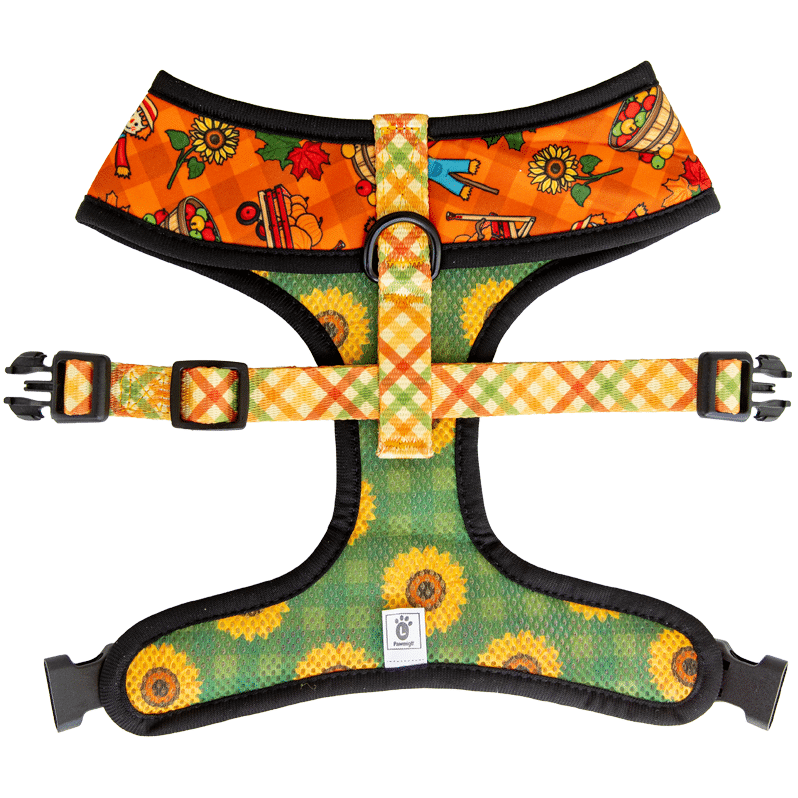 Pawmigo orange fall pumpkin patch themed reversible harness with green sunflower print and multicolor plaid strap