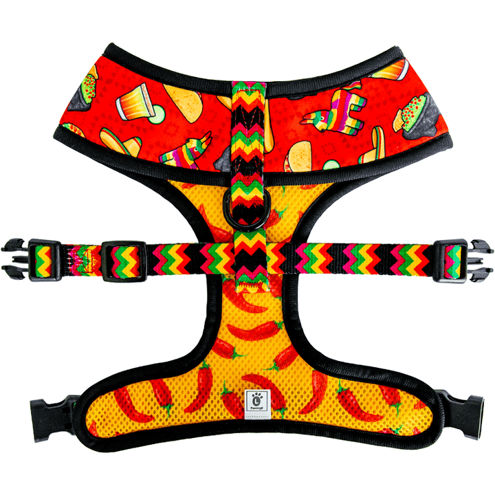 Pawmigo taco Tuesday Mexican Cinco de Mayo fiesta inspired reversible dog harness back