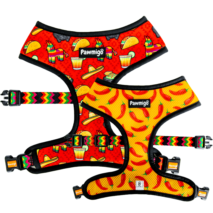 Pawmigo taco Tuesday fiesta Cinco de Mayo Mexican reversible dog harness