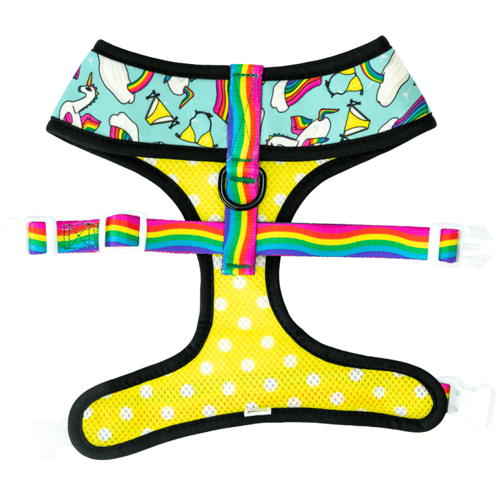 Pool Pawty Reversible Harness