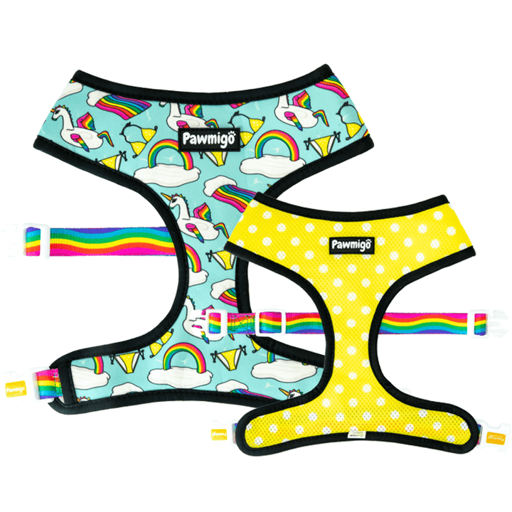 Pool party floatie themed reversible dog harness