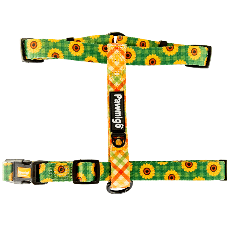 Pawmigo fall sunflower print dog strap harness with multicolor plaid and black buckle