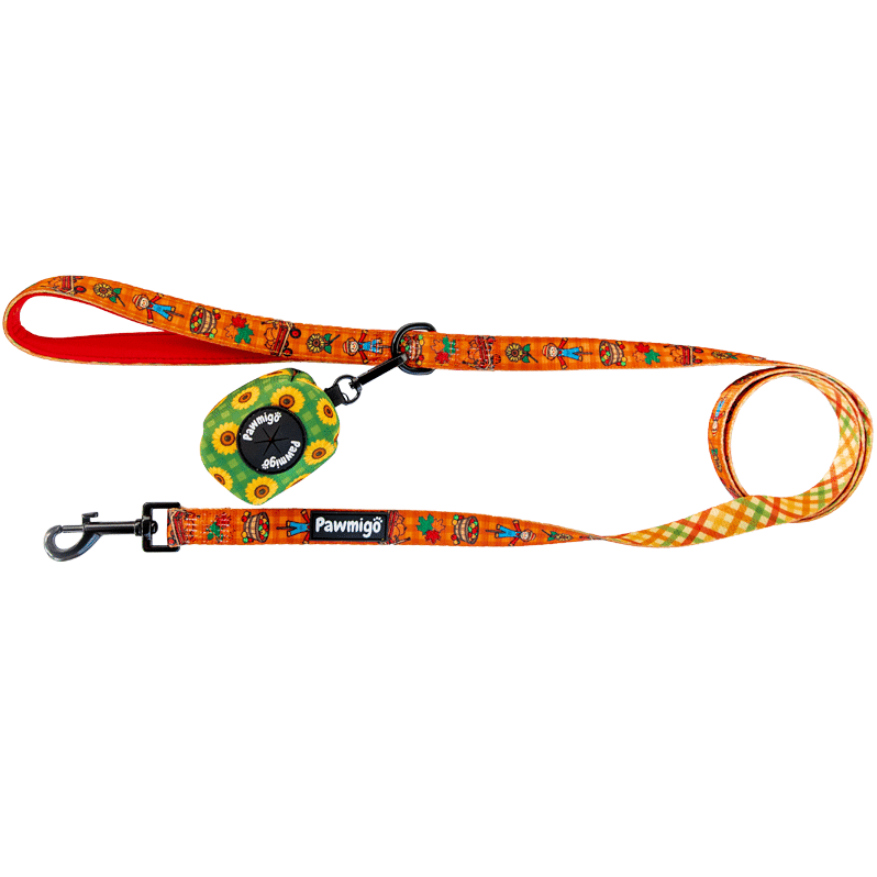 Pawmigo fall pumpkin patch themed orange dog leash kit with green sunflower print poop bag holder