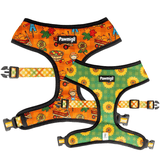 Pawmigo orange fall pumpkin patch themed reversible harness with green sunflower print and multicolor plaid strap