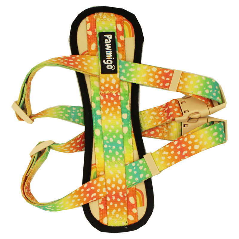 Chasing Rainbows X-Fit Harness