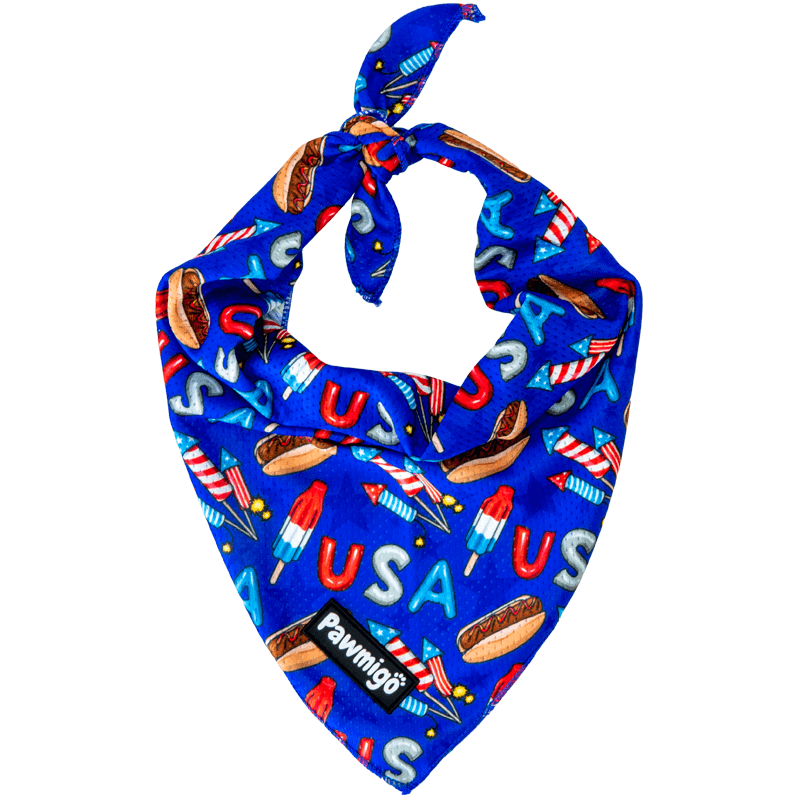 USA Patriotic Red White & Blue July 4th themed dog cooling bandana