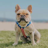 Red, White & Bark Free-Fit Harness