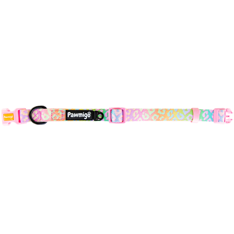 Pawmigo pastel rainbow leopard print dog collar with pink buckles