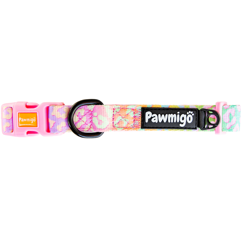 Pawmigo pastel rainbow leopard print dog collar with pink buckles