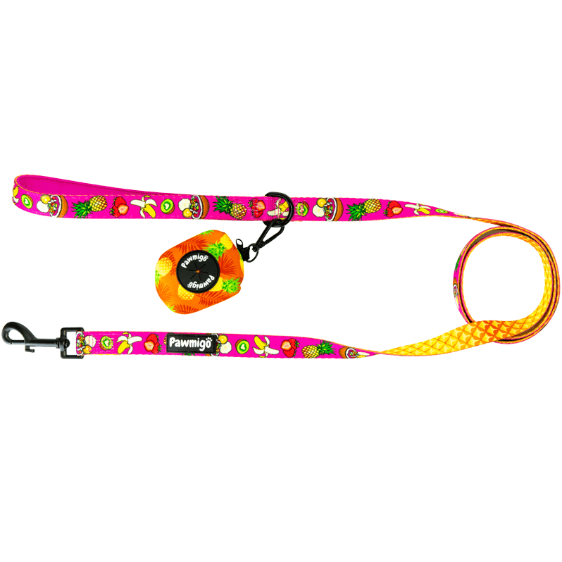 Acai bowl fruit themed dog leash kit with pineapple print poop bag carrier