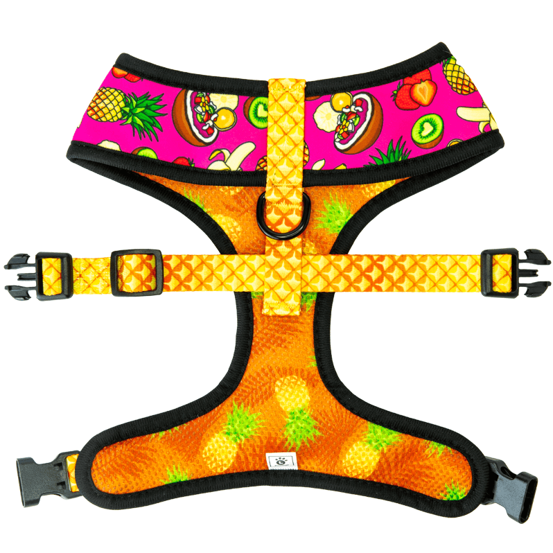 Acai bowl fruit themed reversible dog harness