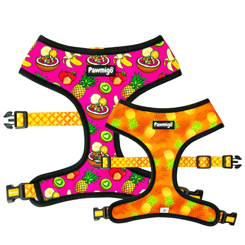 Acai bowl fruit themed reversible dog harness