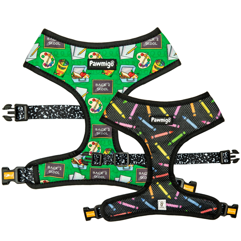 Back to school, teacher themed reversible dog harness for small to medium breeds.