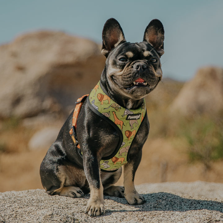 Wild Thing Reversible Harness