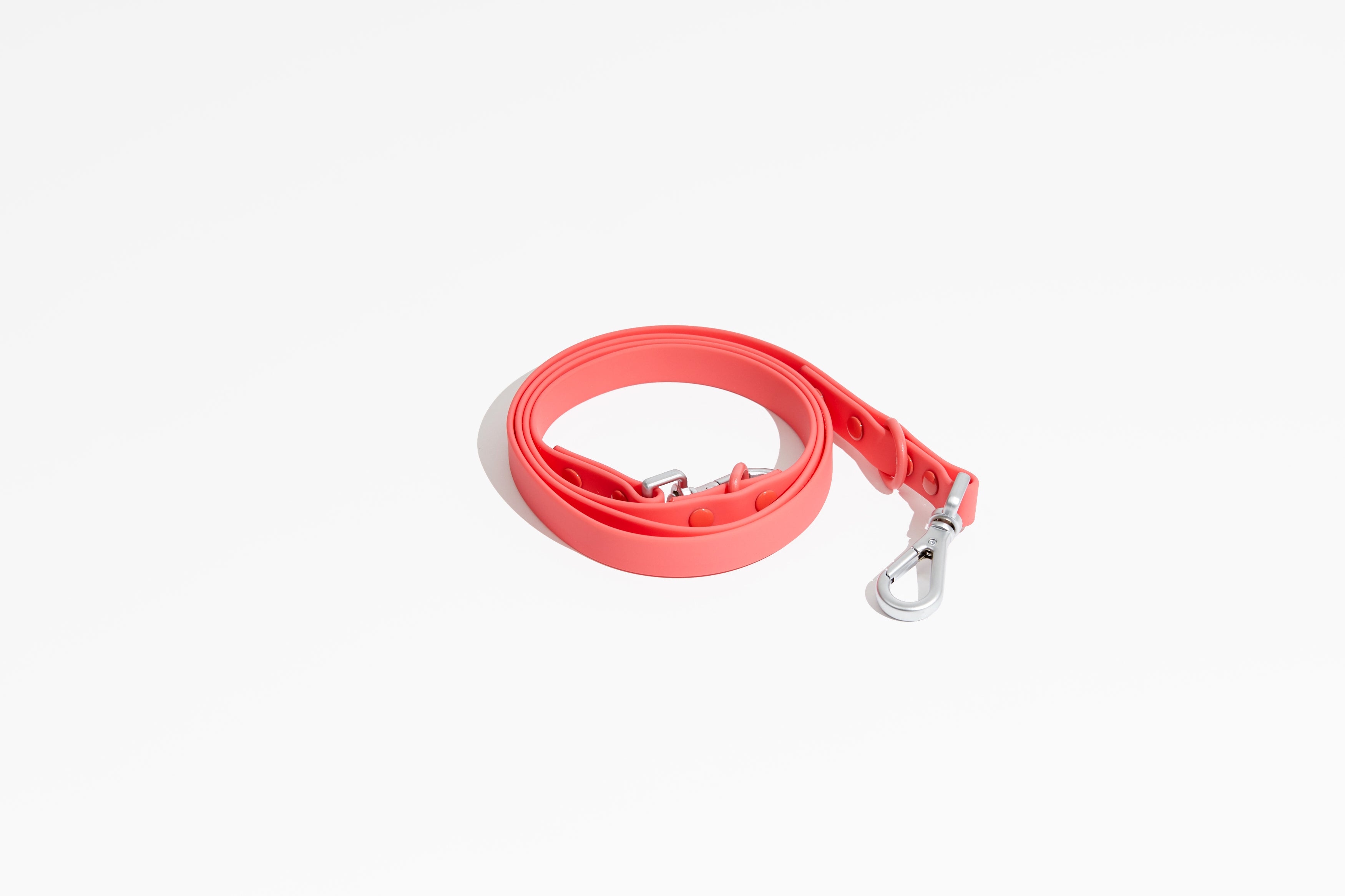 Luxe Leash - Poppy